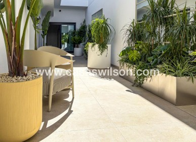 New Build - Villa - Rojales - Ciudad Quesada