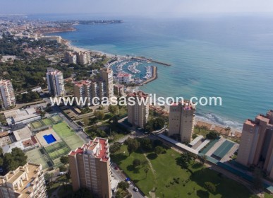 New Build - Appartement - Orihuela Costa - Campoamor