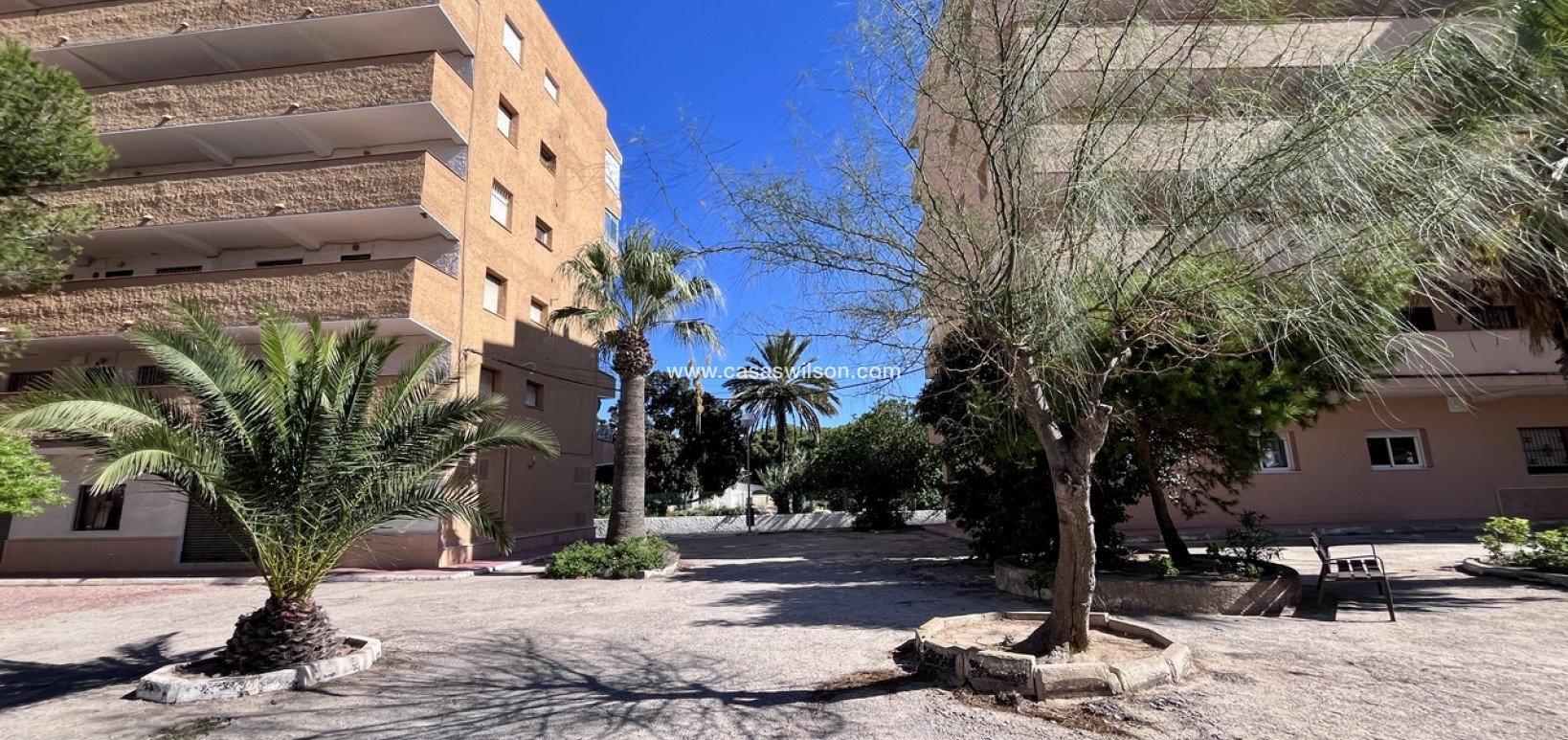 Venta - Apartamento - La Mata - Costa Blanca