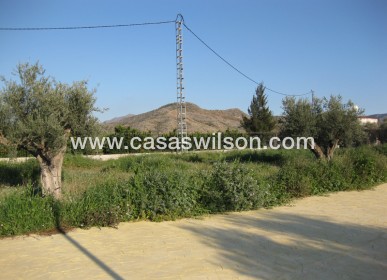 Sale - Country Property/Finca - Benferri - Inland