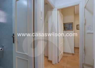 Venta - Chalet - Guardamar del Segura - EL RASO