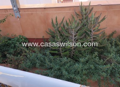 Sale - Apartment - Torrevieja - La Mata