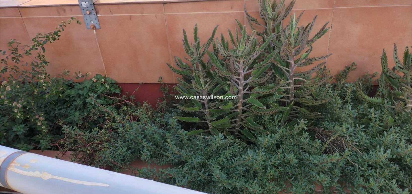 Sale - Apartment - Torrevieja - La Mata