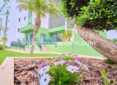 Sale - Appartement - Mil Palmeras - Costa Blanca