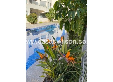 Sale - Bungalow - Torrevieja - Costa Blanca