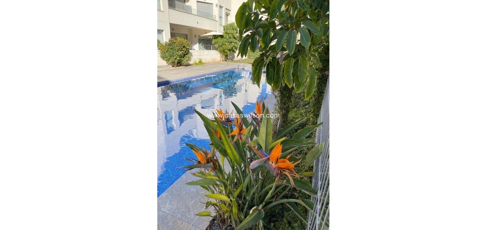 Sale - Bungalow - Torrevieja - Costa Blanca