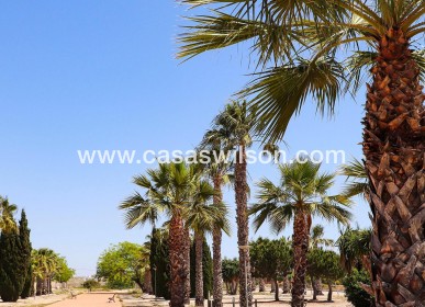 New Build - Villa - San Fulgencio - La Escuera