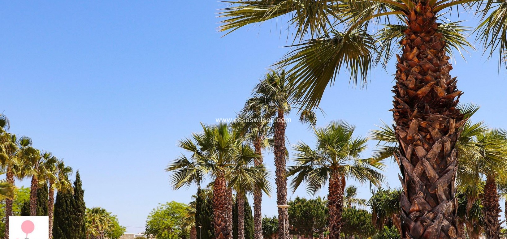 New Build - Villa - San Fulgencio - La Escuera