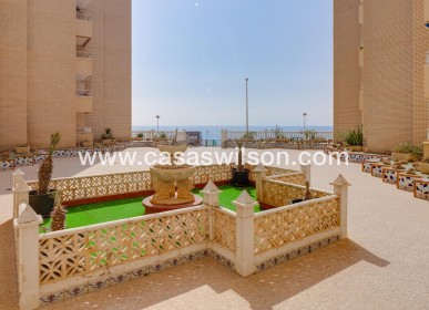 Sale - Appartement - Torrevieja - Centro