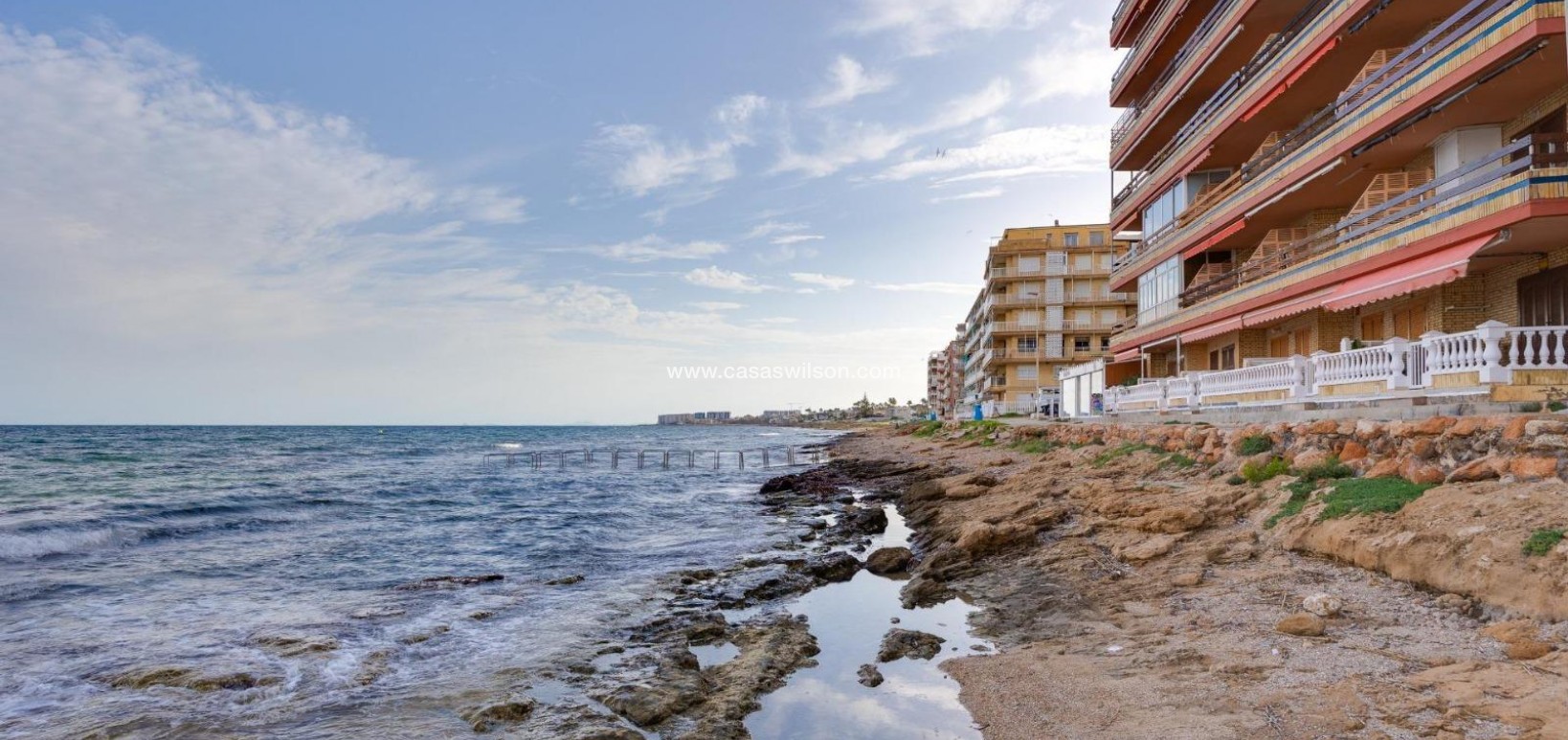 Sale - Apartment - Torrevieja - Costa Blanca