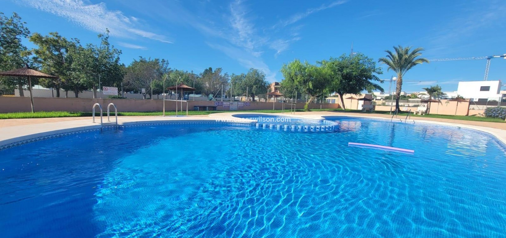 Sale - Townhouse - Los Montesinos - Los Montesinos - Urb. La Herrada