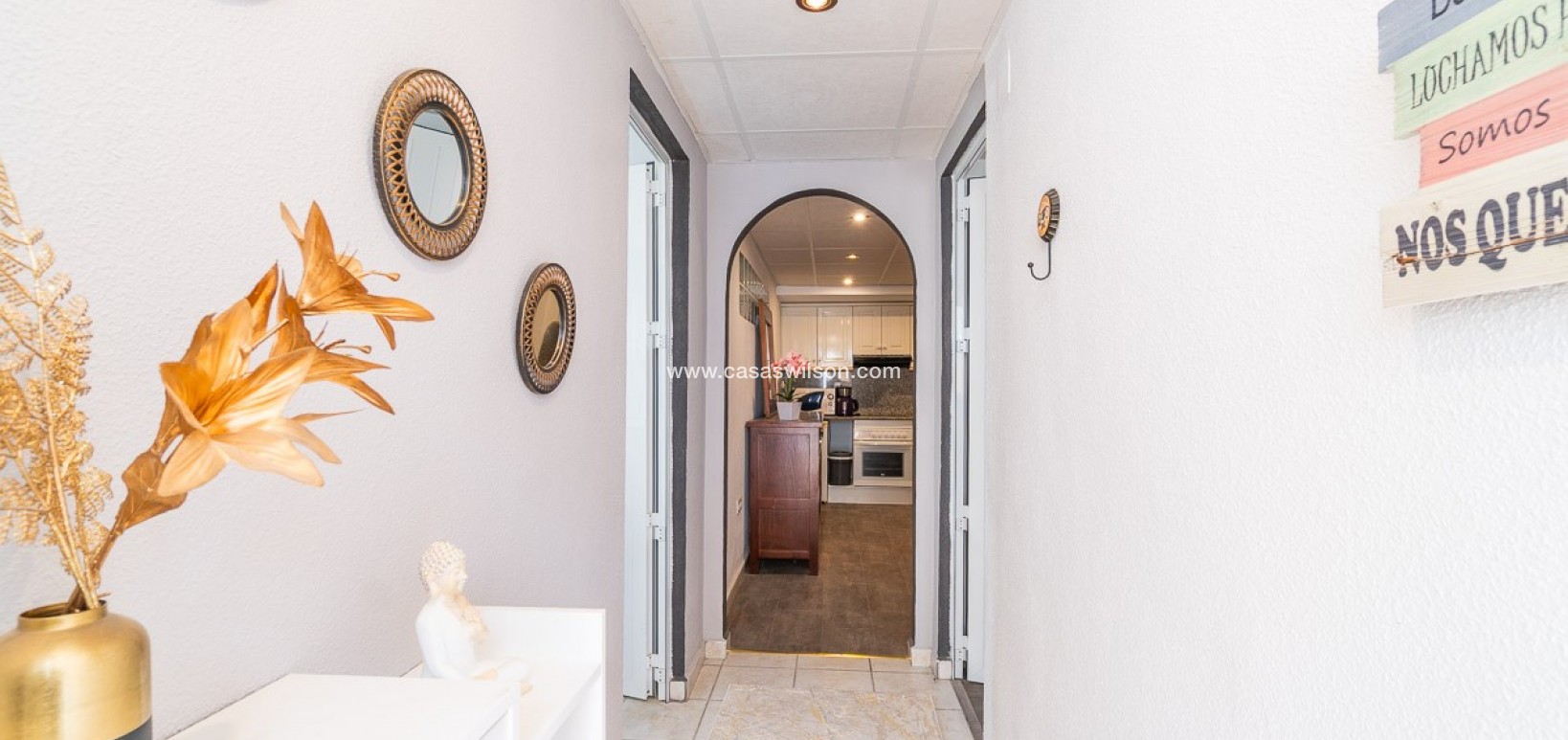 Sale - Villa - San Miguel de Salinas - San Miguel Salinas