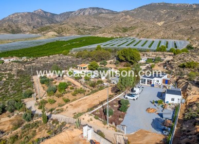 Sale - Country Property/Finca - Crevillente - Inland