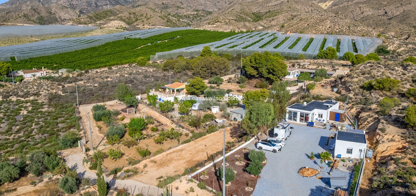 Sale - Country Property/Finca - Crevillente - Inland