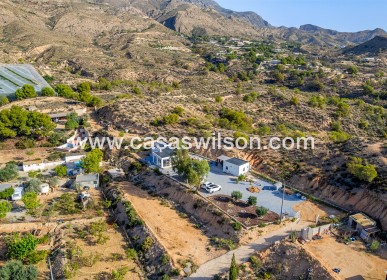 Sale - Country Property/Finca - Crevillente - Inland