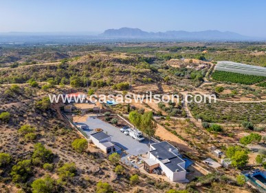 Sale - Country Property/Finca - Crevillente - Inland