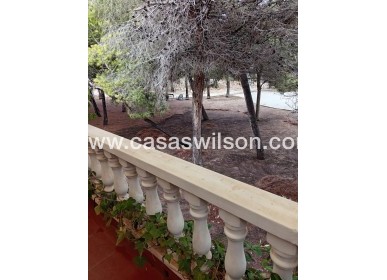 Sale - Townhouse - Torrevieja - Costa Blanca