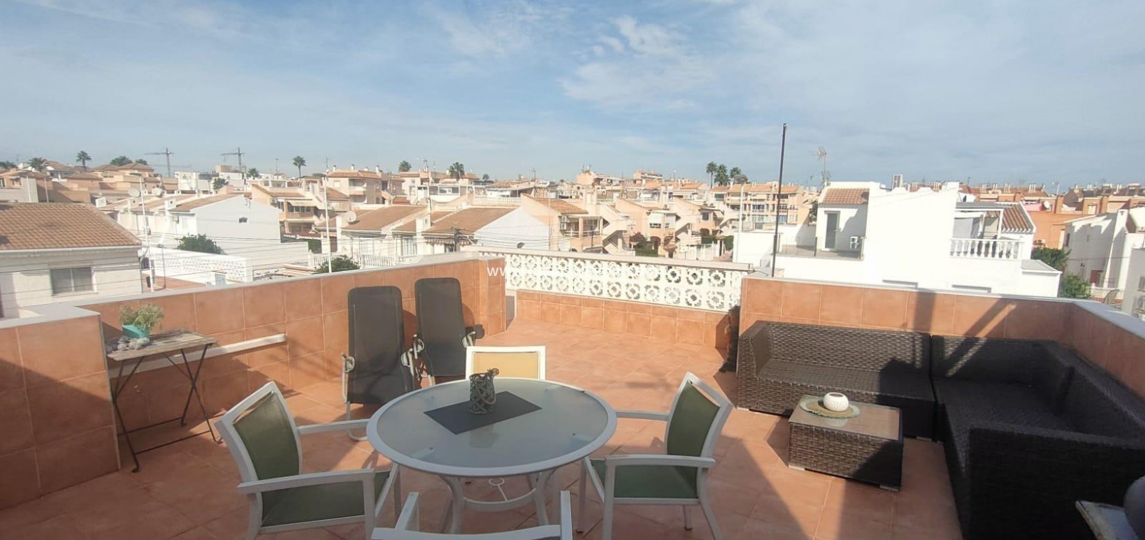 Sale - Bungalow - Torrevieja - Rosaleda-los Frutales