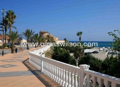 Nueva construcción  - Chalet - Pilar de la Horadada - pueblo