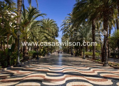 New Build - Apartment - Alicante - Centro