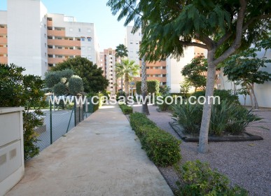 Venta - Apartamento - Guardamar del Segura - Costa Blanca