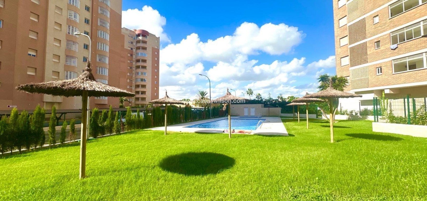 Sale - Appartement - Orihuela Costa - Campoamor
