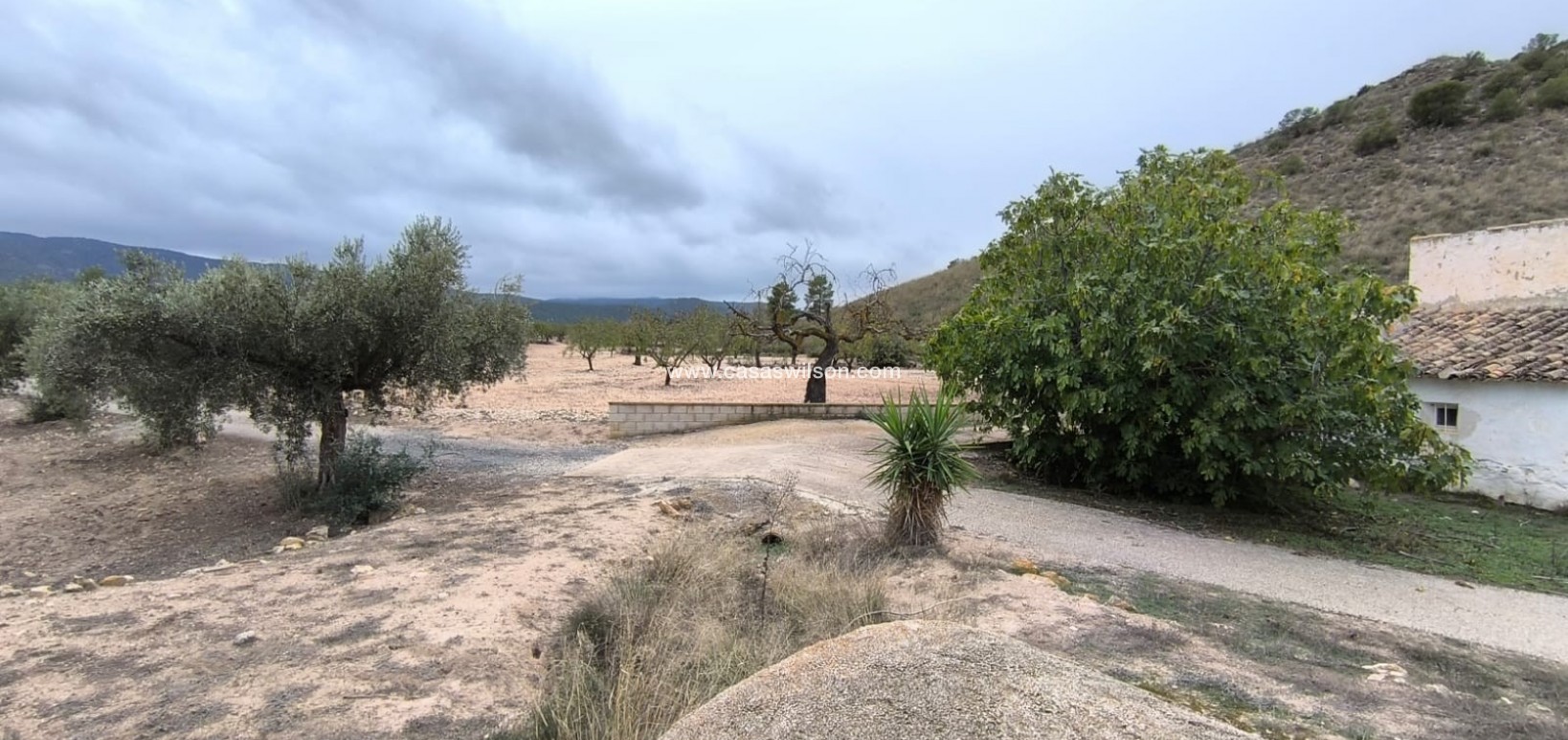 Sale - Country Property - Villena - Inland