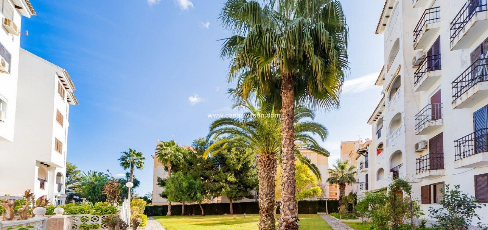 Sale - Apartment - Torrevieja - Calas blanca