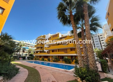 Sale - Apartment - Torrevieja - Punta prima