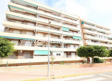 Sale - Apartment - Torrevieja - Costa Blanca