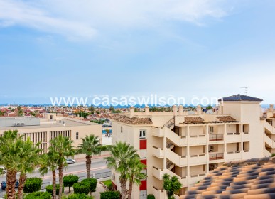 Sale - Appartement - Playa Flamenca - Costa Blanca