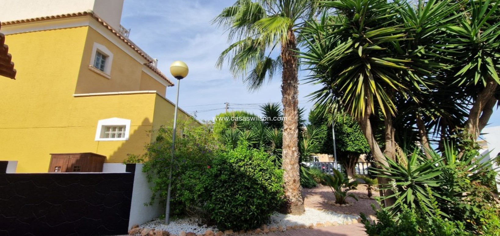 Sale - Apartment - Playa Flamenca - Costa Blanca