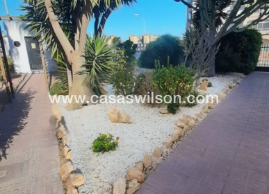 Sale - Apartment - Playa Flamenca - Costa Blanca