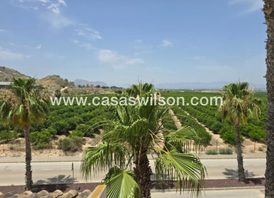 Sale - Villa - Algorfa - Inland