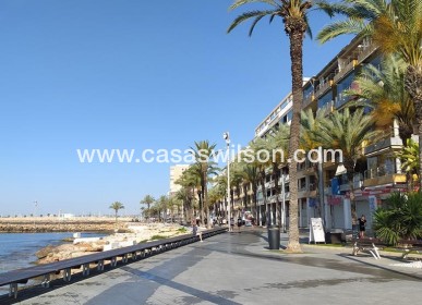 Sale - Apartment - Torrevieja - CENTRO CASCO URBANO