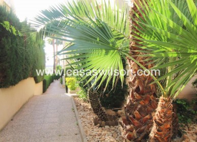 Sale - Apartment - Torrevieja - Costa Blanca