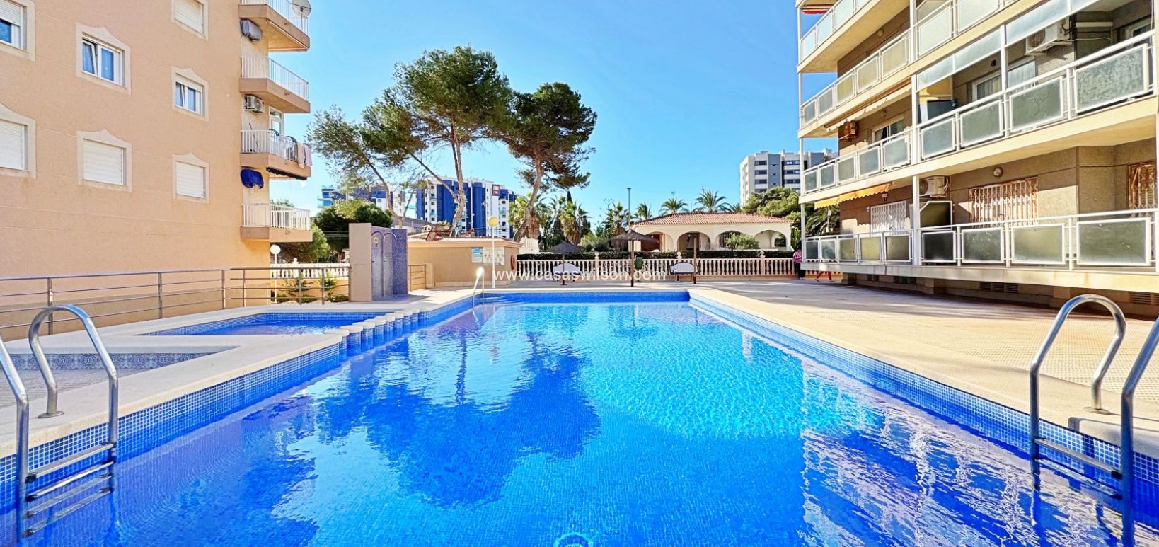 Venta - Apartamento - Torrevieja - Costa Blanca