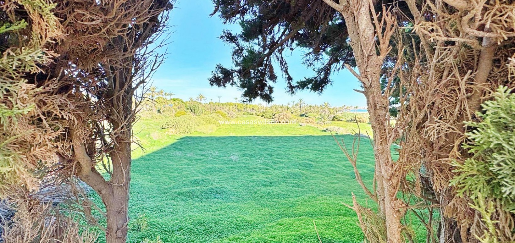 Venta - Apartamento - Torrevieja - Costa Blanca