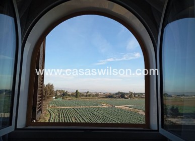 Sale - Appartement - Daya Vieja