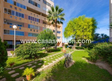Sale - Appartement - Torrevieja - La veleta