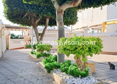Sale - Apartment - Torrevieja - Aguas nuevas 2