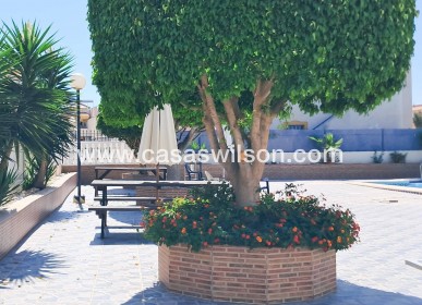 Sale - Apartment - Torrevieja - Parque Acuático - Sector 25
