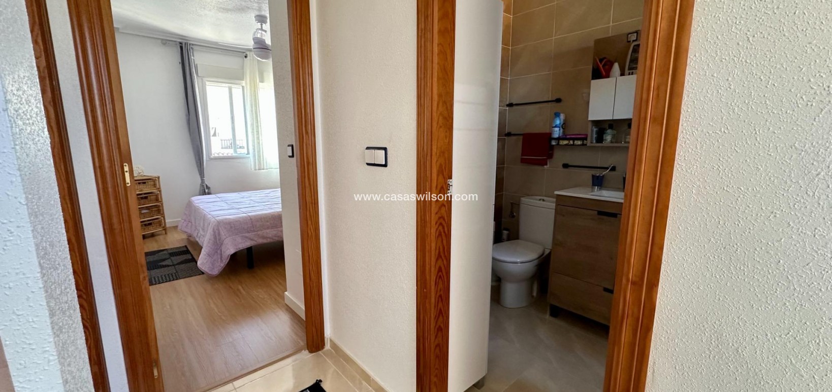 Venta - Adosado - San Miguel de Salinas - Residencial Los Flamencos