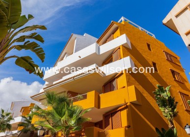 Sale - Apartment - Torrevieja - Punta prima