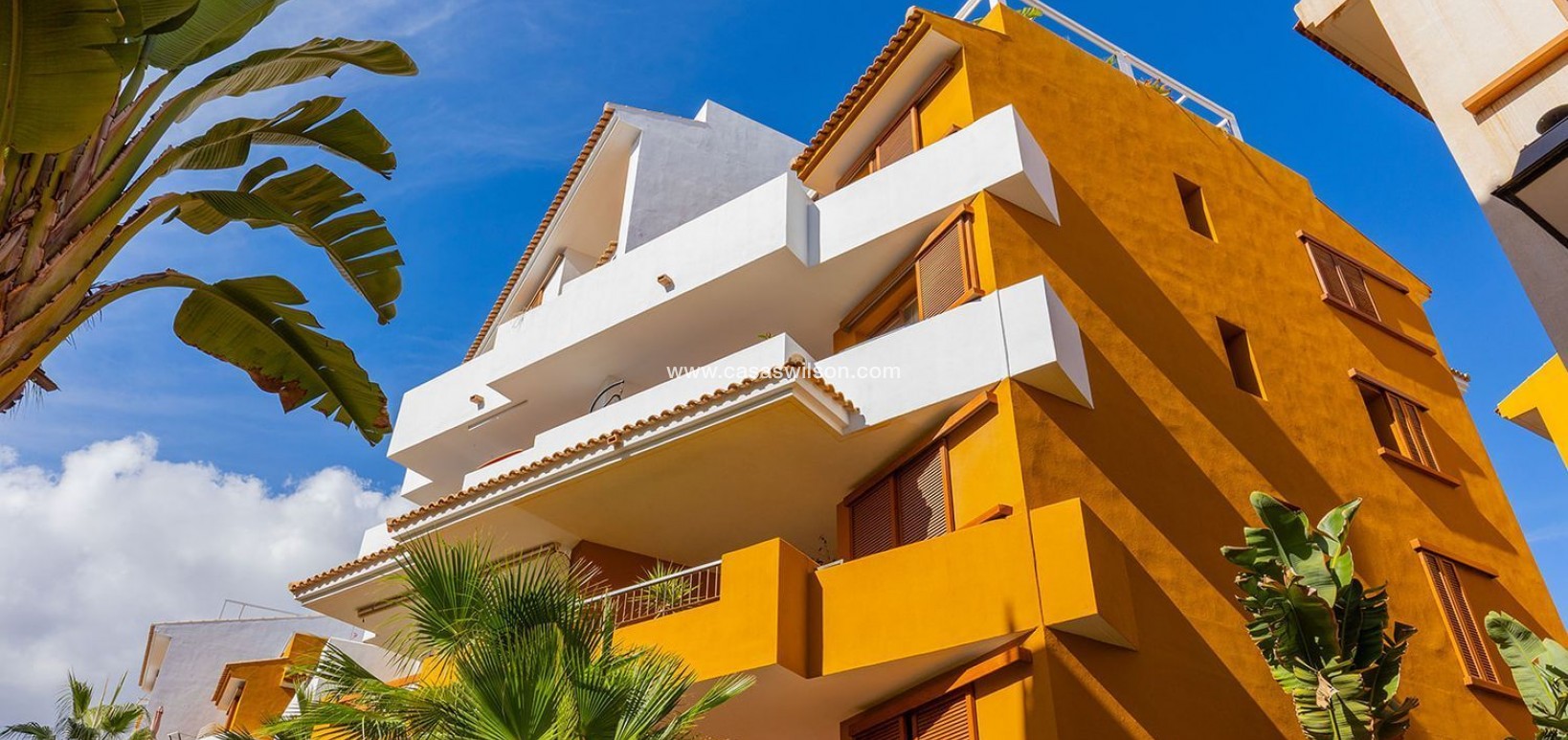 Sale - Apartment - Torrevieja - Punta prima