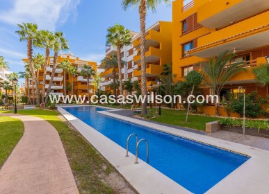 Sale - Apartment - Torrevieja - Punta prima