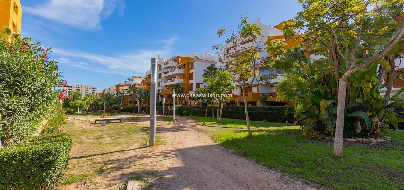 Sale - Apartment - Torrevieja - Punta prima