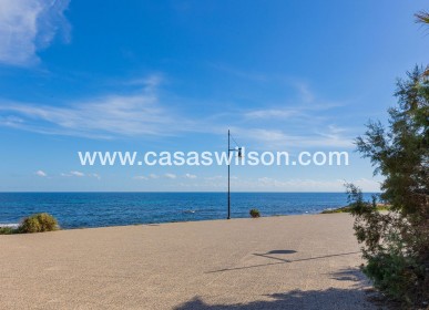 Sale - Apartment - Torrevieja - Punta prima
