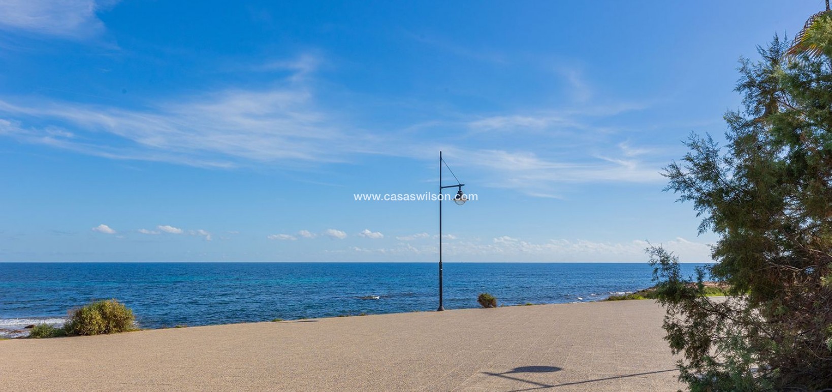 Sale - Apartment - Torrevieja - Punta prima