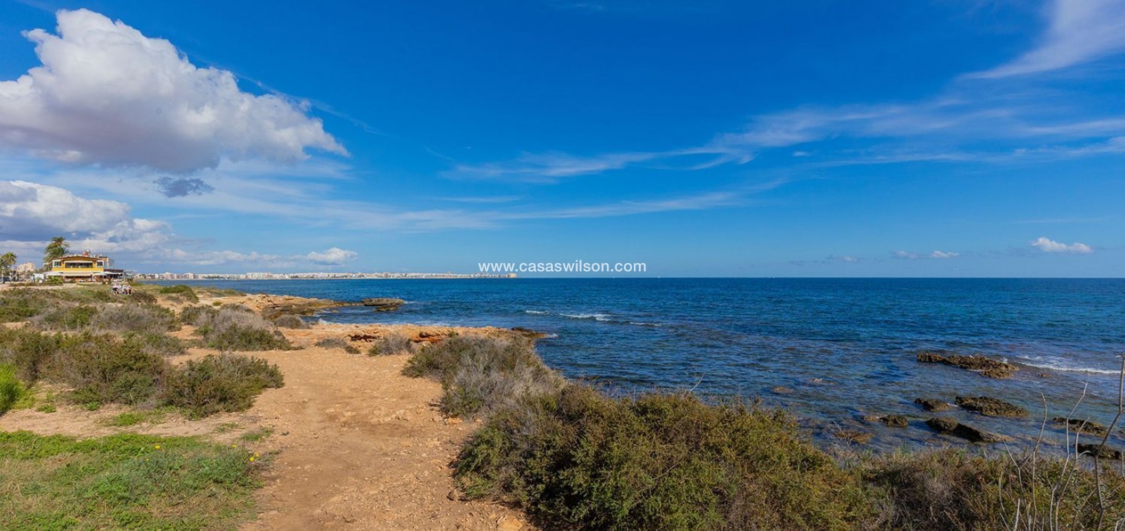 Sale - Apartment - Torrevieja - Punta prima